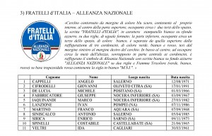 3- CONSIGLIO PROVINCIALE DI SALERNO-FRATELLI D'ITALIA-ALLEANZA NAZIONALE