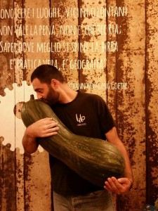 nicola memoli zucchina gigante