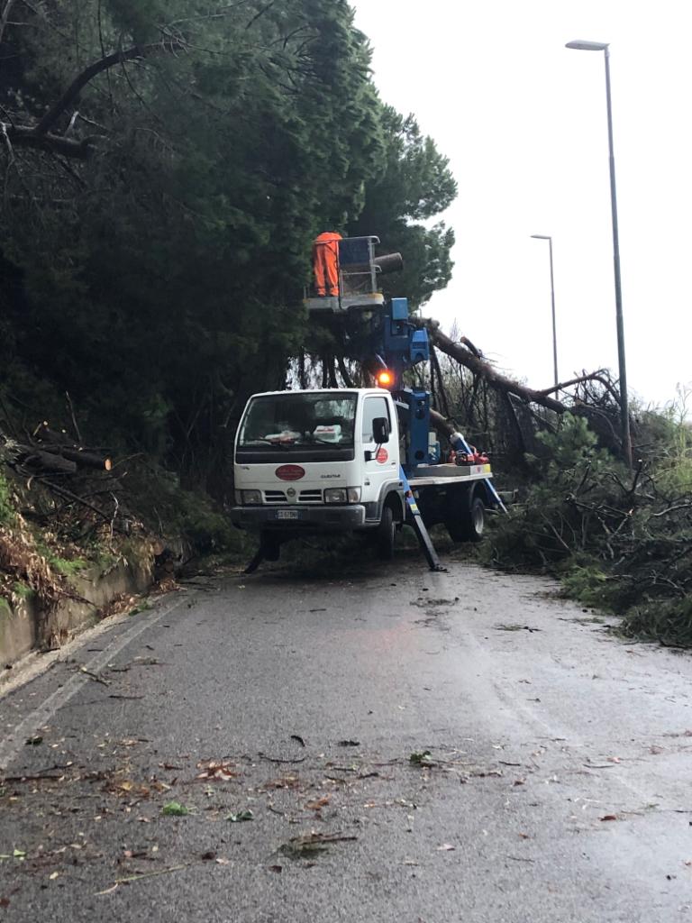 Salerno, le forti piogge provocano la caduta di alberi in strada - Italia2TV